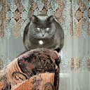 ���� Elena, ������, 53 ���� - ��������� 10 �������� 2011 � ������ �������