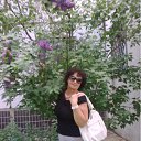 ���� �������, ��������, 71 ��� - ��������� 9 ��� 2012 � ������ ���� ����������