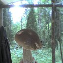 ���� �����, �����-���������, 59 ��� - ��������� 30 ����� 2010 � ������ ��������