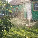 ���� ������, ������, 75 ��� - ��������� 27 ��� 2013 � ������ ���� ����������