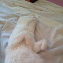 ���� ���������, ������ �������� - ��������� 26 ���� 2013 � ������ ������)))�