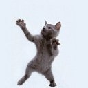 ���� ����, �������, 41 ��� - ��������� 21 ������ 2010