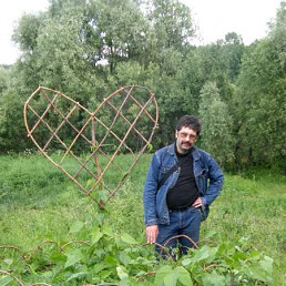 ���� ������, ����, 54 ���� - ��������� 31 ������ 2010