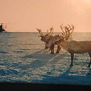 ���� �������, ������, 47 ��� - ��������� 19 �������� 2012 � ������ ��������, ������ �����!!!�