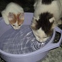 ���� &bull;&deg; ������ &deg;&bull;, ������ - ��������� 8 ������ 2013 � ������ ���� ����������