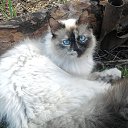 ���� ��������, ���������, 35 ��� - ��������� 9 ���� 2013 � ������ ����� ��� ������������