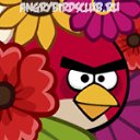 ���� ����, ������, 25 ��� - ��������� 21 ����� 2012 � ������ �PetLove�