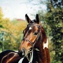 ���� ���, �������, 67 ��� - ��������� 16 ������� 2011 � ������ ��������))�