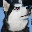 ���� �������, ������������, 42 ���� - ��������� 1 ����� 2012 � ������ ���� ����� � ���-�������.�