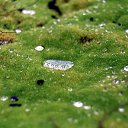 ���� �����, ������, 67 ��� - ��������� 11 ����� 2012 � ������ ���� ����������