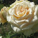 ���� ���������, ���������� - ��������� 5 ������� 2010 � ������ ���������� �����Ȼ