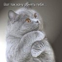 � ����� �������� ���� vk.com/fotiko �� ������� ���� ����������