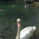 ���� Andr47, ������, 62 ���� - ��������� 25 ������� 2011 � ������ ���� ����������