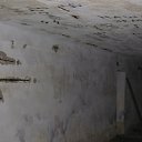 ���� ���[��]������, ������, 36 ��� - ��������� 2 ������ 2010 � ������ �S.T.A.L.K.E.R.�