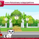 ���� �����, ��������, 27 ��� - ��������� 8 ������� 2011 � ������ �PetLove�