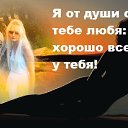 ���� ����, ���, 46 ��� - ��������� 24 ���� 2013 � ������ ���� ����������