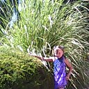 ���� ���������� ��, ����� - ��������� 17 ������� 2010 � ������ ����� 2010�