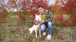 �����������, ���������, 35 ���