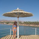  ������ �� ������� ���� ����������