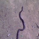 ���� ��������, �����, 31 ��� - ��������� 9 ���� 2012 � ������ ���� ����������