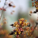 ���� �ocpucm, ������, 48 ��� - ��������� 4 ������ 2009 � ������ �"��� ���� � � ��� � n��" � ����� ;-)�