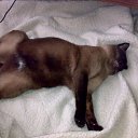 ���� Vitalik, �����-��������� - ��������� 22 ��� 2010 � ������ ���������� ������