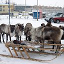 ���� ��������, ������ - ��������� 21 ����� 2012 � ������ �������� �����