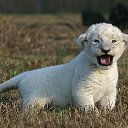 �����,� ����� ������,����� �������,�� ��� ���� �� ������� ������ ����,��� ����λ