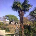 ���� �������, �����������, 44 ���� - ��������� 21 ������ 2010