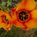 ���� ����� - ���������� ��������!!!, �����������, 56 ��� - ��������� 21 ������ 2010 � ������ ��������ۻ