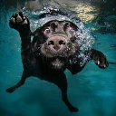 ���� �����, ������, 47 ��� - ��������� 20 ���� 2013 � ������ ���� ����������