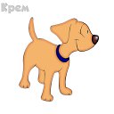 ��� ������� �� ������� ���������