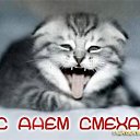 ���� ����, ������, 48 ��� - ��������� 1 ������ 2012 � ������ �������