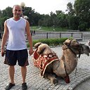 ��������� 2011, ��������� �����, ������� � �.