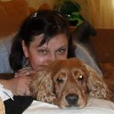 ���� ����� �, ��������, 65 ��� - ��������� 3 ���� 2012 � ������ ���� ����������