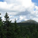 ���� ������� Cat's., �����, 43 ���� - ��������� 4 ������ 2009 � ������ ��� ������������� �������� ������� ������ ����� - �������