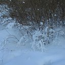 ���� ������, �����-���������, 66 ��� - ��������� 1 ������ 2012 � ������ ����� 2012 ����.�