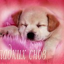  , , 69  -  18  2010   -