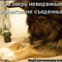 ���� ~��, ���...~, �������, 36 ��� - ��������� 28 ������� 2010 � ������ ����� ������� � ������� ��������