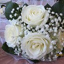 ���� ������, ������, 38 ��� - ��������� 7 ��� 2012 � ������ �������� ������.�