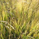 "�������" ��� �������! �� ������� �������������Ż