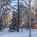 ���� �������, �������, 40 ��� - ��������� 1 ����� 2011 � ������ ���������� - ������������� " ������� "�