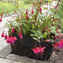 ������ �� ������� �������