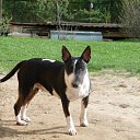 �� ����) �� ������� �� ����������� ��������