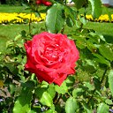 ���� ������, ������� - ��������� 8 �������� 2011