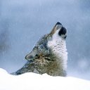 ���� �����, ������ - ��������� 14 ���� 2012 � ������ �������