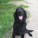 ���� Romantic, ����, 33 ���� - ��������� 2 ������ 2009 � ������ �� � ������