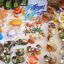 ���� �����, ��������� - ��������� 10 ���� 2012 � ������ ���� ����������