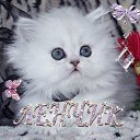 ���� ����, ������, 35 ��� - ��������� 25 ���� 2013 � ������ ���� ����������