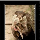 ���� �����, ������, 26 ��� - ��������� 25 ���� 2010 � ������ ���������